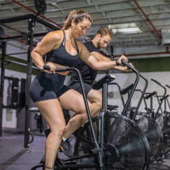 Assault Airbike Classic -Gym Verkauf af website classic image 1 900x900 1