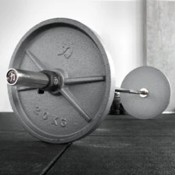 Extra Kurze Garage Strength Hantel - Mit E-Coat Schaft Und Verchromten Buchsen 11 Extra Kurze Garage Strength Hantel - Mit E-Coat Schaft Und Verchromten Buchsen -Gym Verkauf garage bar shop galerie 5 lay01